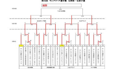 ヤングリーグ夏季選手権　九州第一支部予選大会　３日目　準決勝！